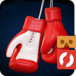 プログラムのアイコン: Box Fighter VR