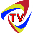 Icon of program: TVRO Online