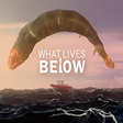 プログラムのアイコン: What Lives Below