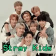 プログラムのアイコン: Stray Kids Songs