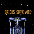Icon des Programms: Bricks Survivors