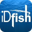 Icona del programma: iDfish
