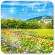 Icon des Programms: Nature Wallpaper