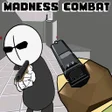 プログラムのアイコン: Madness Combat : FPS Shoo…