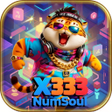 Icon des Programms: x333 NumSoul