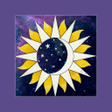 プログラムのアイコン: Cainer Daily Horoscopes
