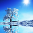 Ikona programu: Winter Wallpaper HD