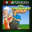 Icon des Programms: ACA NEOGEO NEO TURF MASTE…