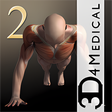 Icône du programme : iMuscle 2