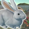 プログラムのアイコン: Rabbit Friends - caring g…