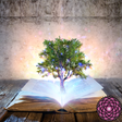 Ikona programu: Reiki Wisdom Library