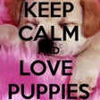 プログラムのアイコン: Keep Calm 4 PUPPIES