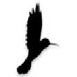 Icon des Programms: Colibri Type Ahead