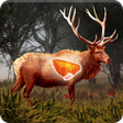 Ikona programu: Deer Target Shooting EXPE…