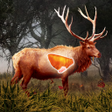 Ikona programu: Deer Target Shooting EXPE…