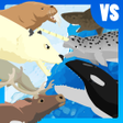 Icon des Programms: Polar Bear Fight Arctic A…