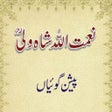 Icône du programme : Naimat Ullah Shah Wali Pr…