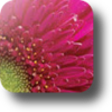 Icon of program: Perfect Resize