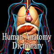 Icon of program: Human Anatomy Dictionary …