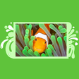 Icône du programme : Clownfish