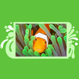 Ikona programu: Clownfish
