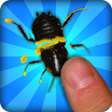 程序图标: Bug Smasher