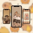 Icon des Programms: Cute Capybara Wallpaper H…