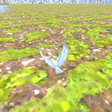 Icon des Programms: EagleFly3D