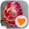Icon of program: 580 Pics