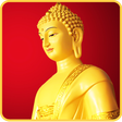 程序图标: spiritual buddha live wal…