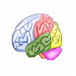 プログラムのアイコン: Brain Workshop