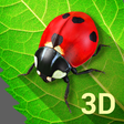 Ikona programu: Bugs Life 3D Free - 3D Li…