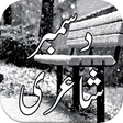 Icon of program: December Urdu Shayari