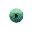 Icono del programa: Kinov…