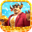 Icon of program: Fortune OX Memory Card