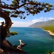 Icon des Programms: Lake Baikal