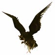 Ikona programu: Hawkscope