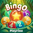 Icono de programa: Bingo Playrixa