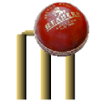 Icon des Programms: Cricket 3D