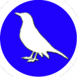 Ikona programu: Bird Identifier