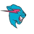 プログラムのアイコン: MrBeast - Gaming