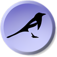 Icon des Programms: Magpie Pro