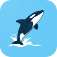 Icon des Programms: Coji TV Browser