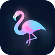 Icon des Programms: Chill Screen:Real Beauty
