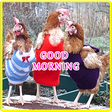 プログラムのアイコン: Good Morning Greetings (I…