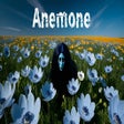 Icon of program: アネモネ / Anemone