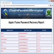 Programmsymbol: iTunes Password Decryptor