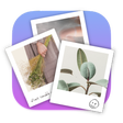 Icon des Programms: Picture View