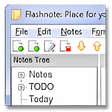 Icona del programma: Flashnote Portable