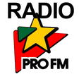 Icon des Programms: Radio PRO FM Romania